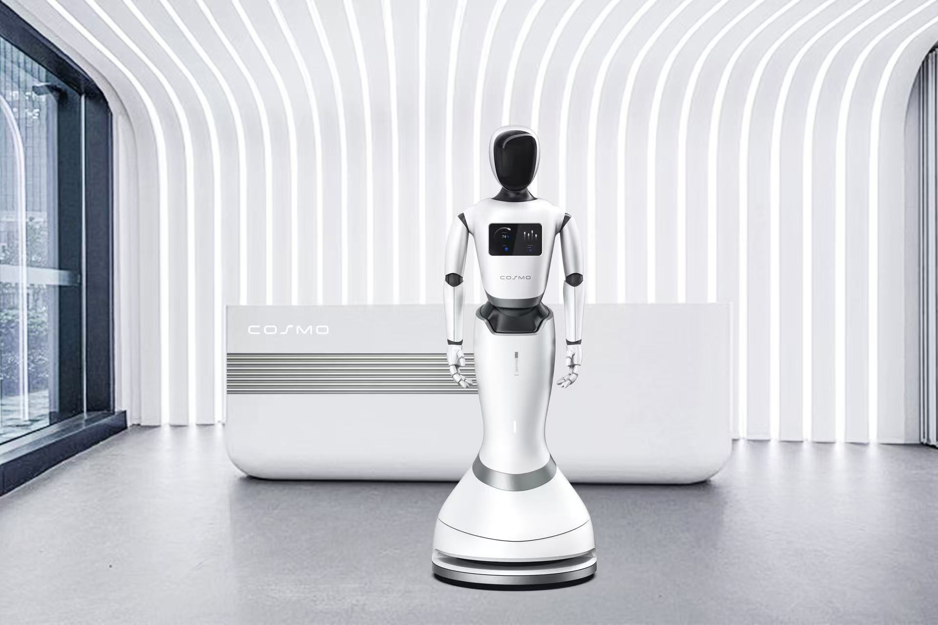 人形機器人(圖1)