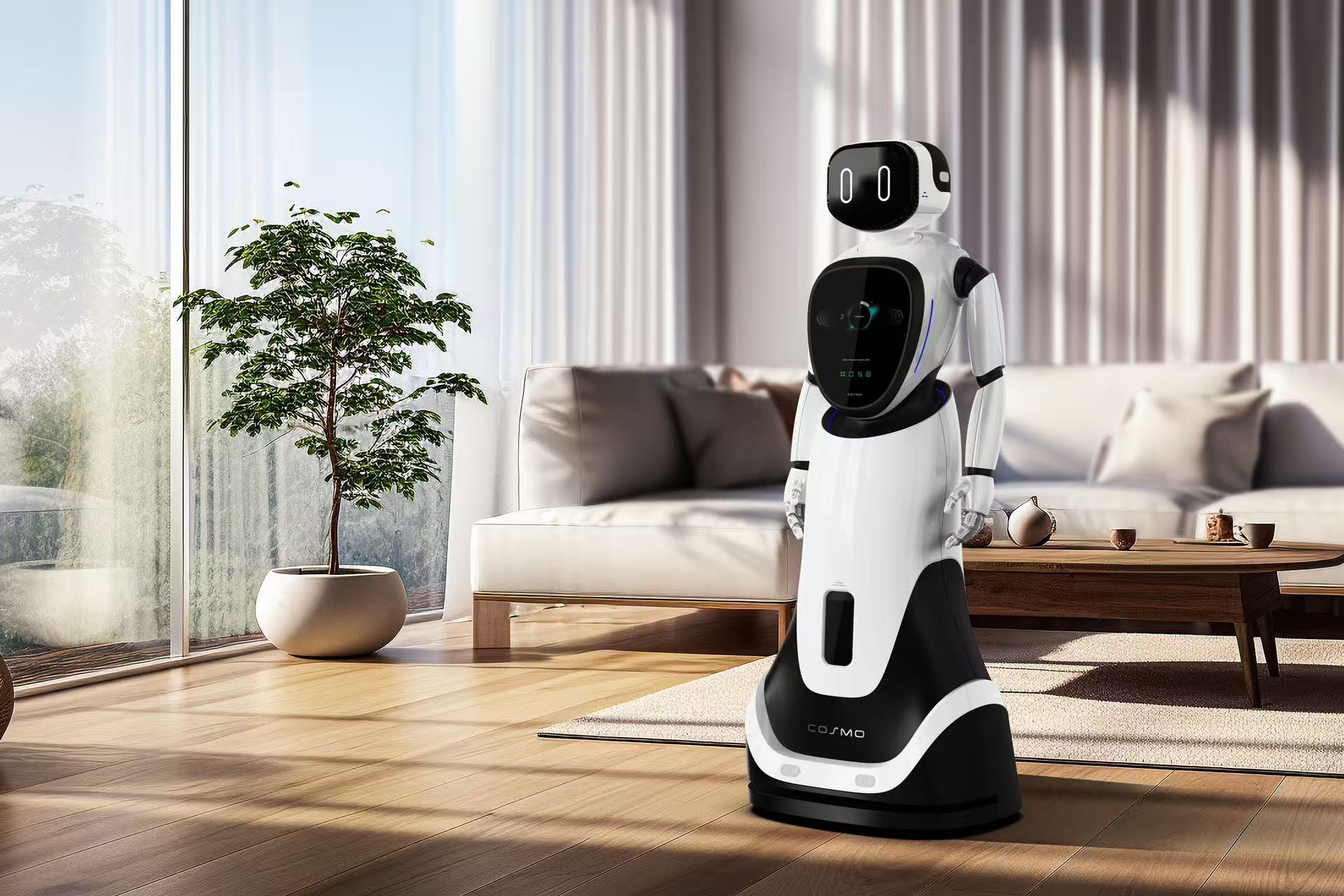 人形機器人(圖1)